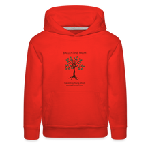 Load image into Gallery viewer, Ballentine Kids‘ Premium Hoodie - red