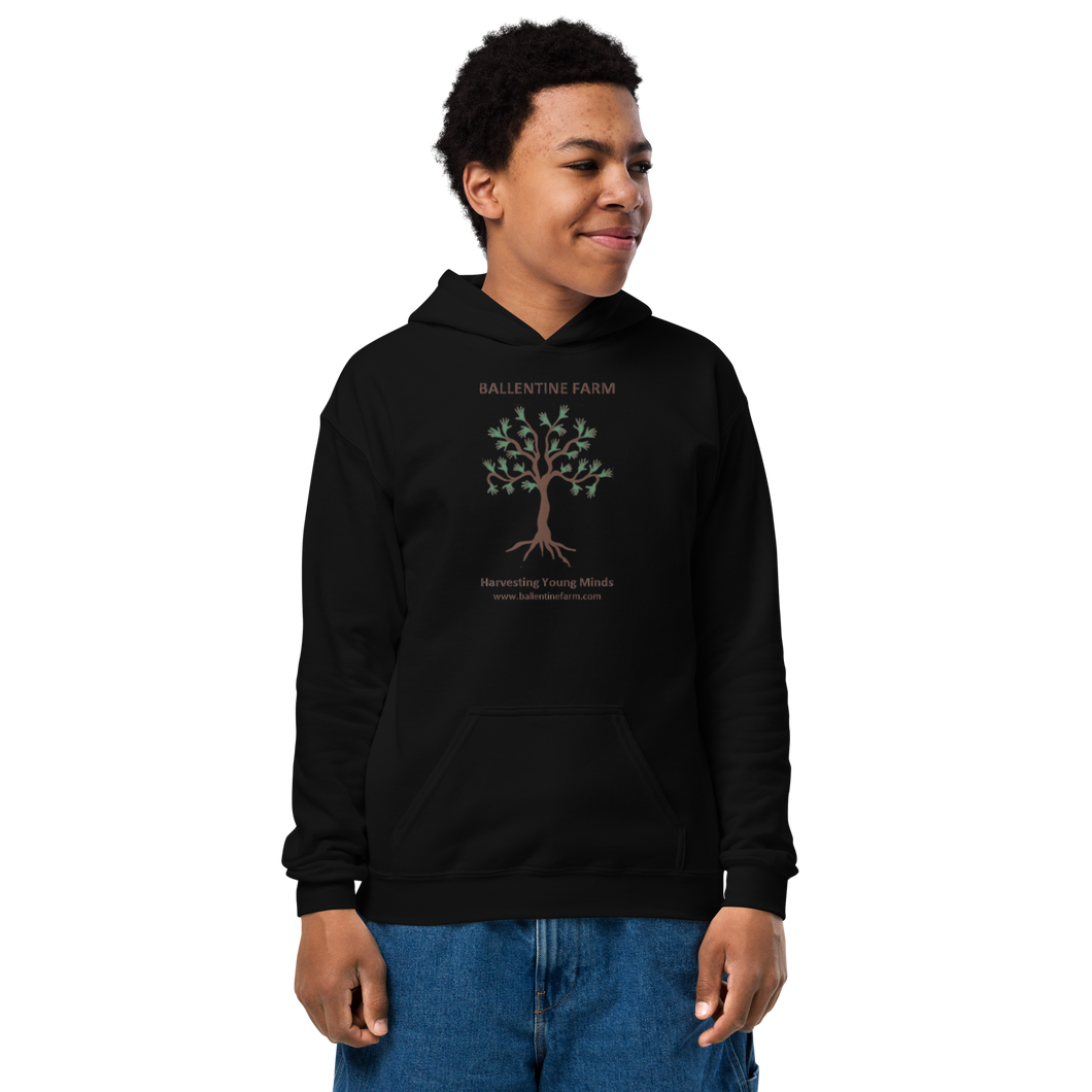 Ballentine heavy blend youth hoodie
