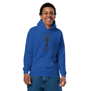 Ballentine heavy blend youth hoodie