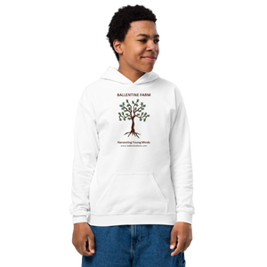 Ballentine heavy blend youth hoodie